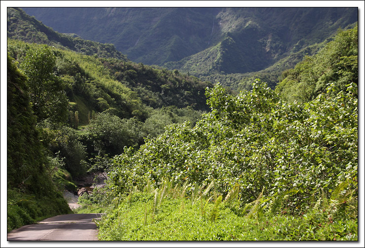 40D11151 cs cadre2.jpg - Tahiti - Vallée de la Papenoo